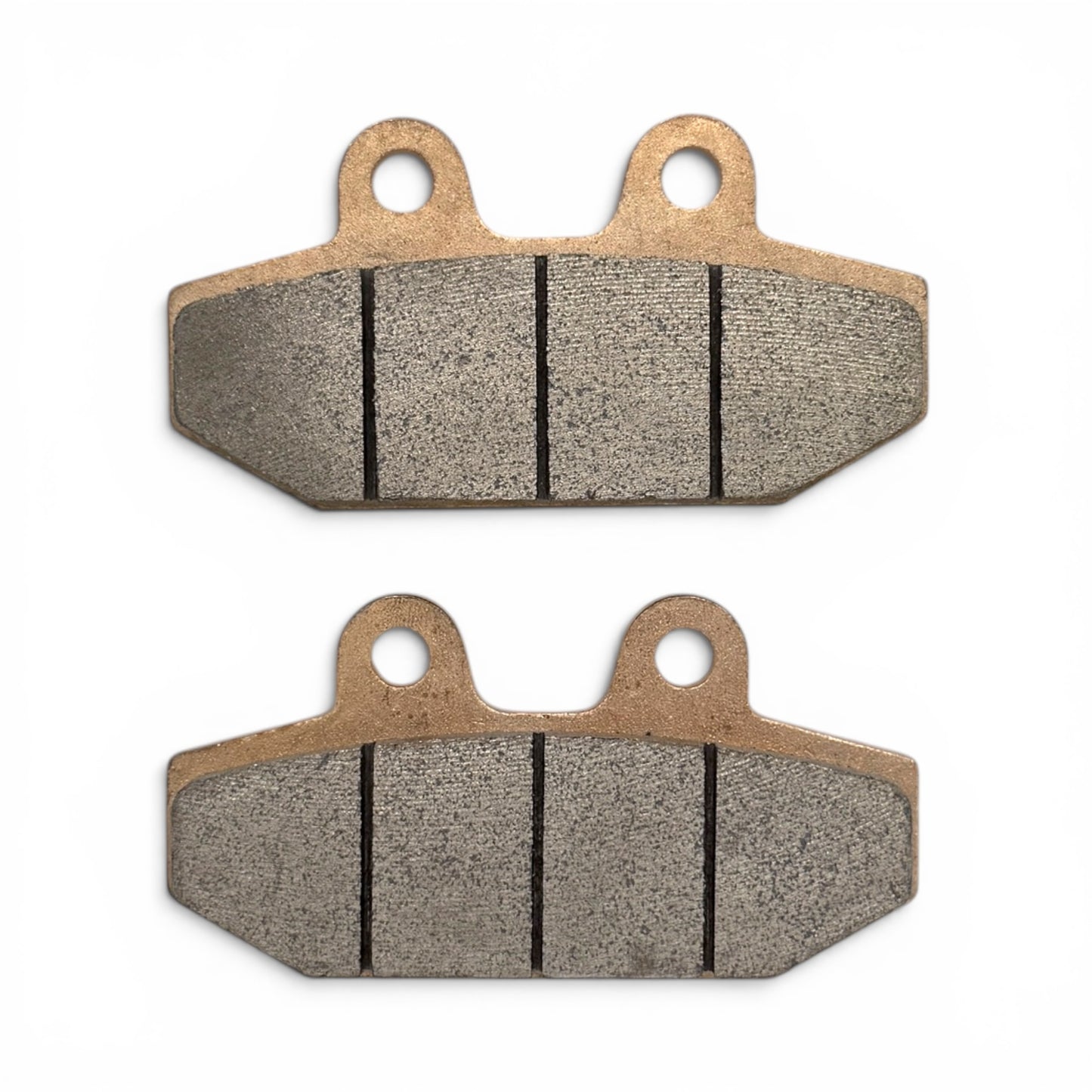 Balatas de Freno Sinterizadas para Harley-Davidson Softail M8 (18-21)
