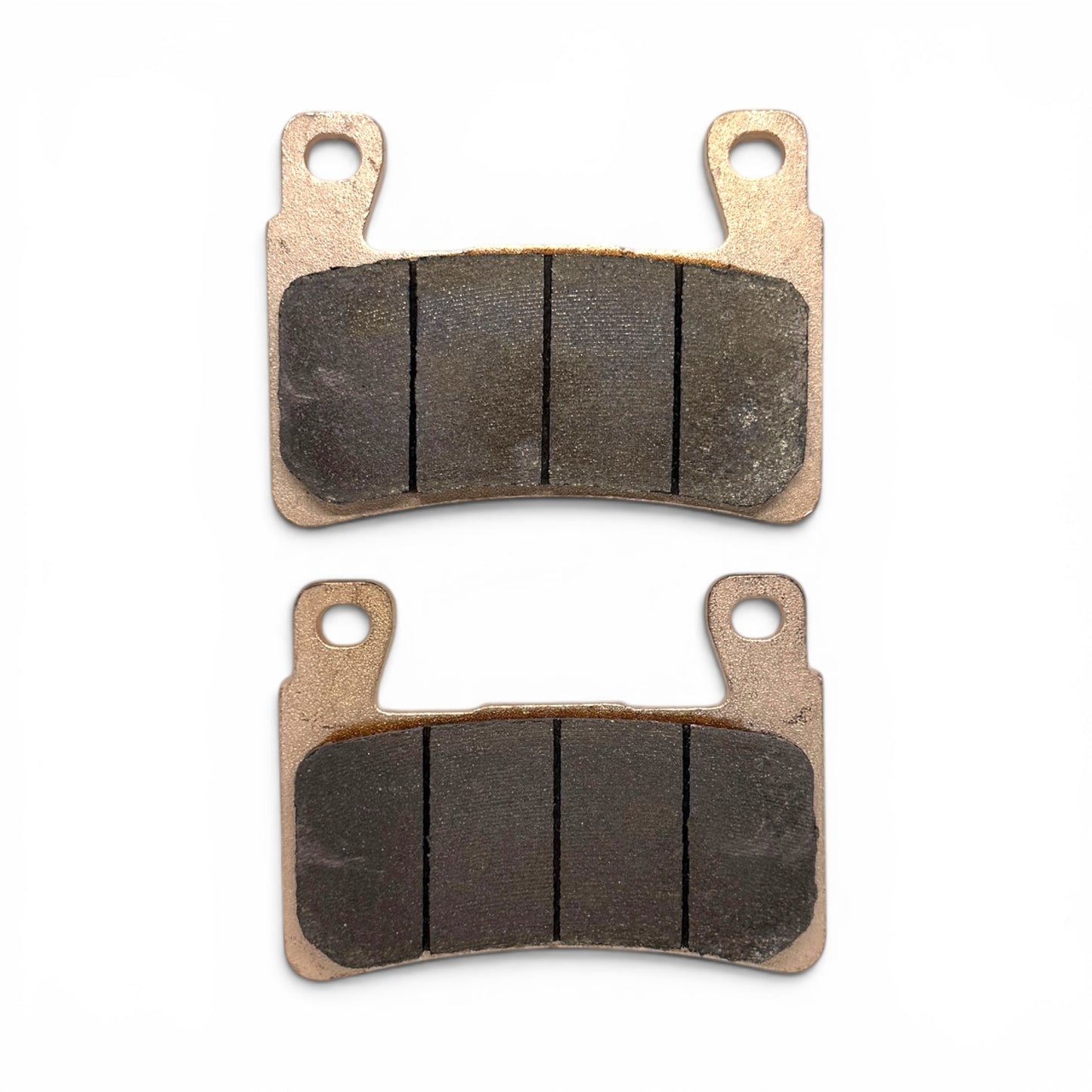 Balatas de Freno Sinterizadas para Harley-Davidson Softail M8 (18-21)