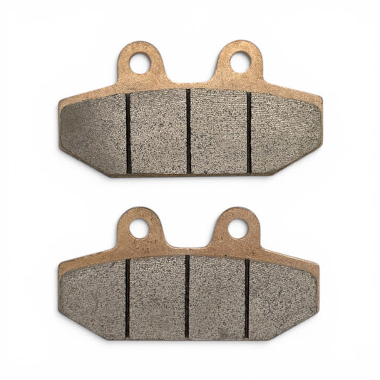 Balatas de Freno Sinterizadas para Harley-Davidson Softail M8 (18-21)