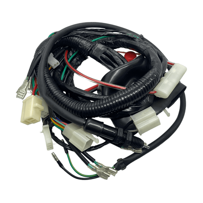 Arnés de cables completo Italika RT-200
